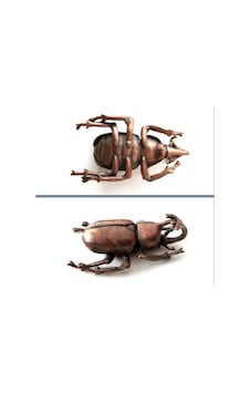 Omeniv Som Bronz Pirinç Böcek Form Anahtarlık Kolye Obje Omeniv Som Bronz Pirinç Böcek Form Anahtarlık Kolye Obje