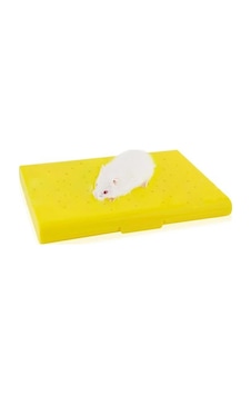 Carno Hamster Yatağı Soğutucu Buz Torbalı Carno Hamster Yatağı Soğutucu Buz Torbalı