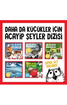 Daha Da Küçükler İcin Acayip Seyler Seti 1 5 - Vzqg-814948 Daha Da Küçükler İcin Acayip Seyler Seti 1 5 - Vzqg-814948