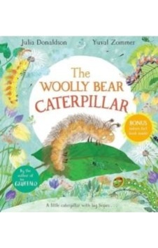The Woolly Bear Caterpillar