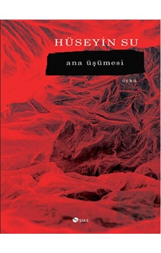 Ana Üşümesi - Hüseyin Su - Şule Yayınları