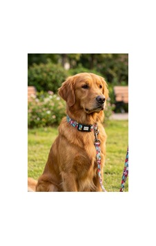 Geri Dönüştürülmüş Doğa Dostu Ayarlanabilir Kedi Köpek Boyun Tasması Karakter Desenli Çok Renkli Geri Dönüştürülmüş Doğa Dostu Ayarlanabilir Kedi Köpek Boyun Tasması Karakter Desenli Çok Renkli