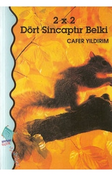 Dört Sincaptır Belki - Cafer Yıldırım - Kaynak Çocuk