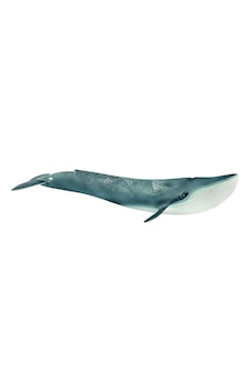 Schleich Mavi Balina 14806