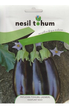 NesilPatlıcan Tohumu Kemer 5 GR NesilPatlıcan Tohumu Kemer 5 GR