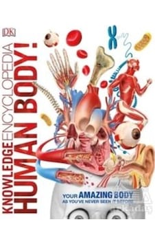 Knowledge Encyclopedia Human Body 9780241286852 Knowledge Encyclopedia Human Body 9780241286852