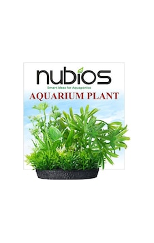 Nubios Plastik Bitki Kare Tabanlı Tekli Karton 10 Cm 219-59015.01 Nubios Plastik Bitki Kare Tabanlı Tekli Karton 10 Cm 219-59015.01
