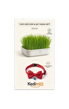 Doğal Kedi Çimi Ve Papyon Kedi Tasması Seti