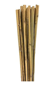 10 Adet Bambu Destek Çubuğu, 8-10 Mm Kalınlığında, 90 Cm Uzunluk 10 Adet Bambu Destek Çubuğu, 8-10 Mm Kalınlığında, 90 Cm Uzunluk