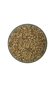 Hitit Malt Münih Arpa Maltı 1 KG Hitit Malt Münih Arpa Maltı 1 KG