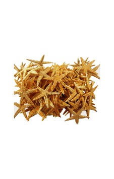Deniz Yıldızı Natural 3 Cm - 4.5 Cm 100 Adet Deniz Yıldızı Natural 3 Cm - 4.5 Cm 100 Adet