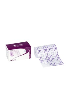 Fortune Fix Flaster 5 M x 2.5 CM Fortune Fix Flaster 5 M x 2.5 CM