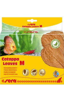 Sera Catappa Yaprağı M 18 Cm 10'lu Paket Sera Catappa Yaprağı M 18 Cm 10'lu Paket