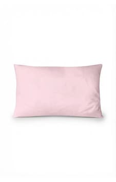 Orta Boy 40x60cm %100 Pamuklu Saten Kumaş Yastık Kılıfı 2adet Gizli Fermuarlı Pudra Orta Boy 40x60cm %100 Pamuklu Saten Kumaş Yastık Kılıfı 2adet Gizli Fermuarlı Pudra