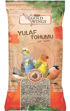 Gold Wings Yulaf Tohumu 300 Gr Gold Wings Yulaf Tohumu 300 Gr