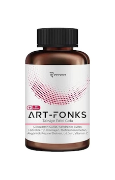 Art-Fonks 60 Tablet