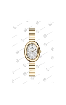 Momentus Women's Classy Cw326g-09sg Çok Renkli