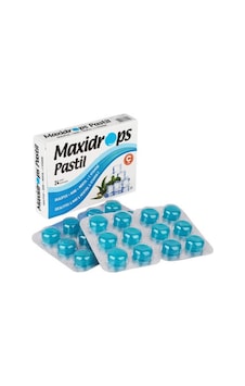 Maxidrops Pastil Nane Mentol 24'lü Maxidrops Pastil Nane Mentol 24'lü