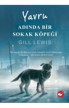 Yavru Adında Bir Sokak Köpeği