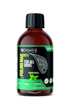 Depovit Pulmo Max Nefes Açıcı 250 ML Depovit Pulmo Max Nefes Açıcı 250 ML