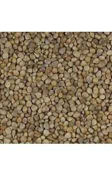 Aktar Store Ispanak Tohumu 1 Kg Aktar Store Ispanak Tohumu 1 Kg