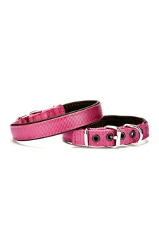 Softlu Köpek Boyun Tasması 2 Cm X 40 Cm Mor Çok Renkli Softlu Köpek Boyun Tasması 2 Cm X 40 Cm Mor Çok Renkli