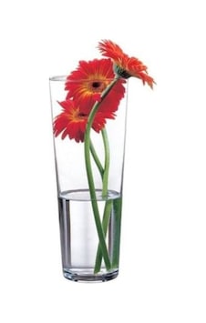 Paşabahçe 43177 Cam Vazo - Botanica Vazo 26 Cm. Diğer