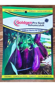 Goldgen Pro Seed Patlıcan Manisa Kır Çizgili Goldgen Pro Seed Patlıcan Manisa Kır Çizgili