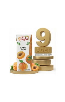 Meysu Nektar Kayısı 9x200 Ml