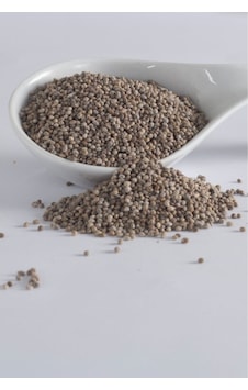 Gurmepark Kavrulmuş Kenevir Tohumu 1 KG Gurmepark Kavrulmuş Kenevir Tohumu 1 KG
