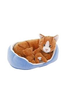Sepette Yavrulu - Kedi Sepette Yavrulu - Kedi