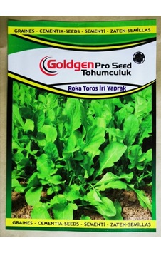 Goldgen Pro Seed Roka Tohumu Toros İri Yaprak Goldgen Pro Seed Roka Tohumu Toros İri Yaprak