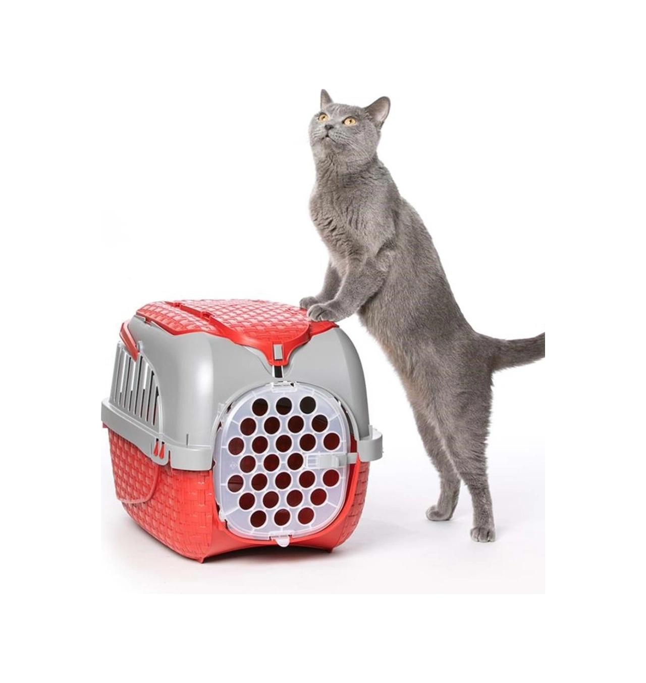 Bama Köpekler Ve Kediler İçin Transporter Kırmızı 52x33x34 Cm Bama Köpekler Ve Kediler İçin Transporter Kırmızı 52x33x34 Cm