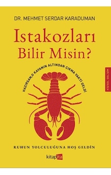 Istakozları Bilir Misin Istakozları Bilir Misin