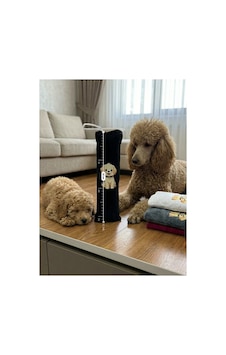 Kedi Köpek Oyuncağı Peluş Baskılı, Yumuşak Kumaşlı Hışırtılı Oyuncak Siyah - 937493409 Kedi Köpek Oyuncağı Peluş Baskılı, Yumuşak Kumaşlı Hışırtılı Oyuncak Siyah - 937493409