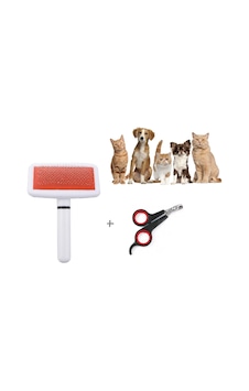 Sarfex Köpek Tüy Toplama Fırçası + Tırnak Makası