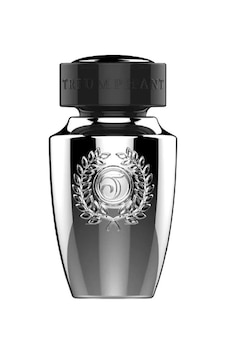 Triumphant Silver Glory Erkek Parfüm EDT 100 ML