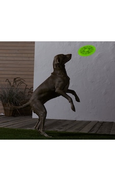 Tchibo Köpekler İçin Frizbi 684735 Tchibo Köpekler İçin Frizbi 684735