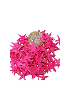 Tahtakale Toptancı Polyester Deniz Yıldızı Minik Boy 0.5 Cm- 1.5 Cm 100 Adet Fuşya Tahtakale Toptancı Polyester Deniz Yıldızı Minik Boy 0.5 Cm- 1.5 Cm 100 Adet Fuşya