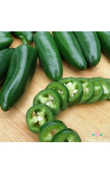100 Adet Biber Tohumu Jalapeno 100 De 100 Çimlenme Garantili..... 100 Adet Biber Tohumu Jalapeno 100 De 100 Çimlenme Garantili.....