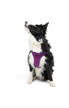 Tailpetz Air-mesh Küçük Ve Orta Irk Kedi Köpek Göğüs Tasması - Yumuşak, Nefes Alabilir, Dayanıklı Mor, Xlarge Sku: Zeusb097lr5185 Açık Bej - Bej