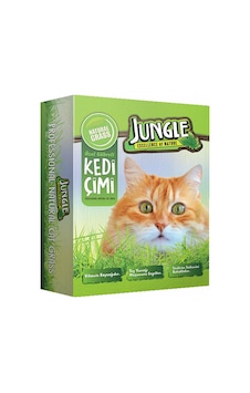 Jungle Fileli Kedi Çimi