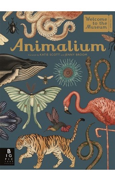 Animalium Sku: Zeusstka33ec5e1bb