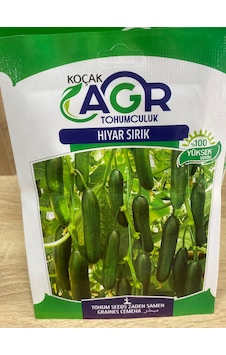 Agr Salatalık Sırık Tohumu SALATALIK Agr Salatalık Sırık Tohumu SALATALIK