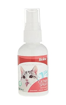 Northcity Catnip Kedi Otu Nanesi Spreyi 50 Ml