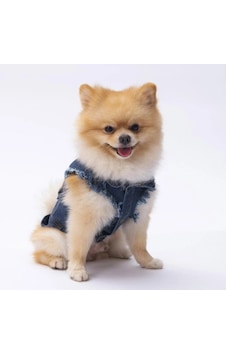 Pawstar Küçük Irk Köpek İçin Denim Yelek S Pawstar Küçük Irk Köpek İçin Denim Yelek S