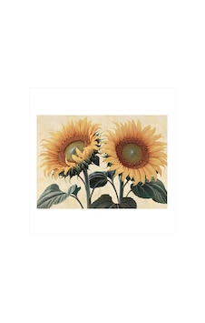 Günebakan Çiçek Resmi Art Mdf Poster Günebakan Çiçek Resmi Art Mdf Poster