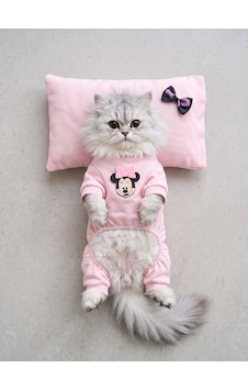 Pinkie Mouse Kedi Uyku Seti Pembe Kalın Penye Kedi Tulumu Ve Kurdele Detaylı Mini Yastık 2 Parça Pinkie Mouse Kedi Uyku Seti Pembe Kalın Penye Kedi Tulumu Ve Kurdele Detaylı Mini Yastık 2 Parça