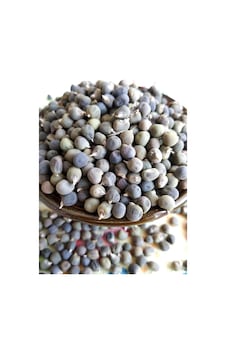 Aktar Store Bamya Tohumu 1 Kg Aktar Store Bamya Tohumu 1 Kg