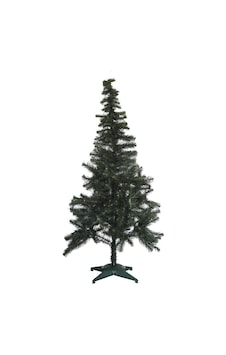 Yerli Üretim İskoç Çam Ağacı 150 Cm 150 CM Yerli Üretim İskoç Çam Ağacı 150 Cm 150 CM